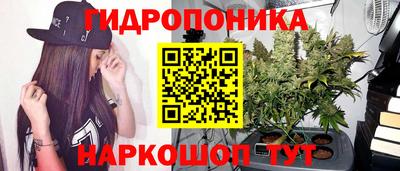 PSILOCYBIN Бузулук