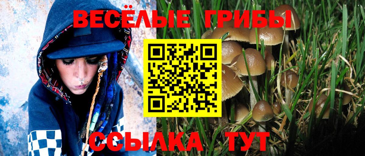 Галлюциногенные грибы Psilocybe  Вход с VPN  Курск 